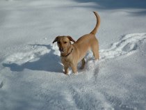 Delta Snow 03/03/06