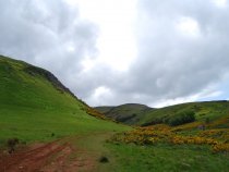 Allermuir 05/09