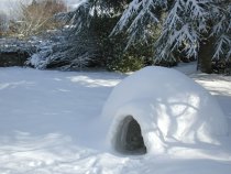 Igloo